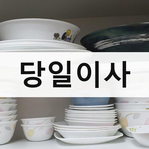 인천 남부 당일이사 포장이사